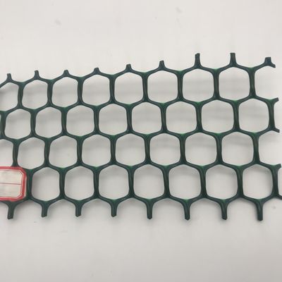 5mm HDPE Geonet για την ενίσχυση των δρόμων σύμφωνα με τις απαιτήσεις σας