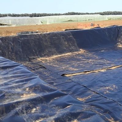 Γεωμεμβράνη HDPE μακράς διάρκειας για επένδυση λιμνών ασιατικού σχεδιασμού σε άλλες περιοχές
