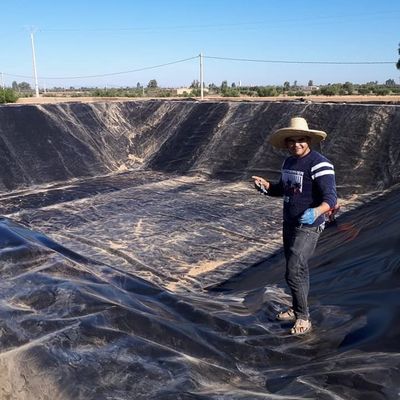 1 mm πλαστική γεωμεμβράνη HDPE για παραδοσιακό σχεδιασμό σε κυκλική επιφάνεια δεξαμενής ψαριών