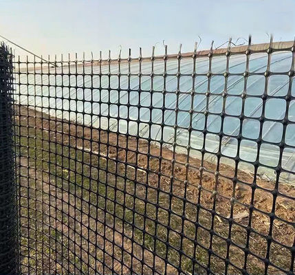Ενισχύσεις δρόμων με διάξιο γεωγραφικό πλέγμα και αντοχή σε έλξη σε κινέζικο στυλ σχεδιασμού