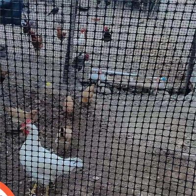 Ειδικότερα, οι ενδείξεις που παρουσιάζονται στην εν λόγω παράγραφο δεν ισχύουν για τα ζώα που προέρχονται από άλλες χώρες.