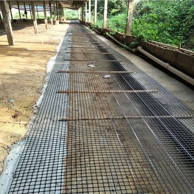 Κινέζικος σχεδιασμός στυλ Biaxial Geogrid φράχτης για το κοτόπουλο οδική θέση οδική θέση χωρητικότητα φορτίου