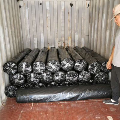 50-50kn Polyester Geogrid/ PET Geogrid για την ενίσχυση των όχθων ποταμών