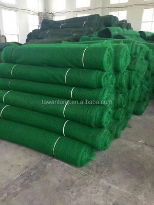 Villa 3D Geomat Erosion Control Mat και πλαστικό Geomat στις Φιλιππίνες για εκπαίδευση επί τόπου