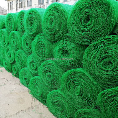 CE/ISO9001/ISO14001 Πιστοποιημένος HDPE 3D Geomat για Τριδιάστατο Πλαστικό Δίκτυο Γκαζόν