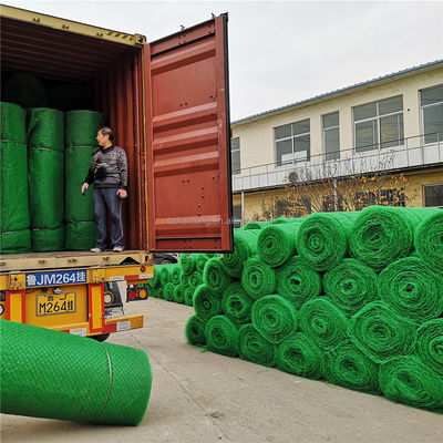 CE/ISO9001/ISO14001 Πιστοποιημένος HDPE 3D Geomat για Τριδιάστατο Πλαστικό Δίκτυο Γκαζόν