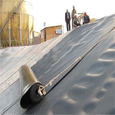 Γεωμεμβράνες για HDPE PVC 0,75mm Δάμα Liner λίμνης και Κινέζικος σχεδιασμός στυλ χωματερή