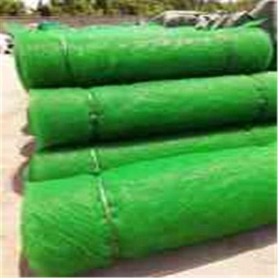 HDPE PP Έλεγχος διάβρωσης 3D Φυτική κάλυψη Γεωμάτης Γεροπέδες για την προστασία της πλαγιάς