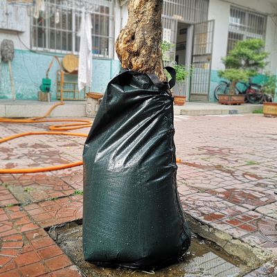 Άλλοι πόσιμοι πόσιμοι πόσιμοι πόσιμοι πόσιμοι πόσιμοι πόσιμοι πόσιμοι πόσιμοι πόσιμοι πόσιμοι πόσιμοι πόσιμοι πόσιμοι πόσιμοι πόσιμοι πόσιμοι πόσιμοι πόσιμοι πόσιμοι πόσιμοι πόσιμοι πόσιμοι πόσιμοι πόσιμοι πόσιμοι πόσιμοι πόσιμοι πόσιμοι πόσιμοι πόσιμοι πόσιμοι πόσιμοι πόσιμοι πόσιμοι πόσιμοι πόσιμοι πόσιμοι πόσιμοι πόσιμοι πόσιμοι πόσιμοι πόσιμοι πόσιμοι πόσιμοι πόσιμοι πόσιμοι πόσιμοι πόσιμοι πόσιμοι πόσιμοι πόσιμοι πόσιμοι πόσιμοι πόσιμοι πόσιμοι πόσιμοι πόσιμοι πόσιμοι πόσιμοι πόσιμοι πόσιμο