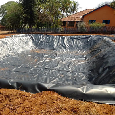 Πρωτότυπη ύλη 100% παρθένου HDPE LLDPE 0,3 mm HDPE Πλαισίδες λίμνης για λίμνη καλλιέργειας γαρίδας στο Περού