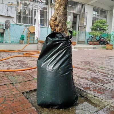 Συστήματα σταυρώσεως σταγονιδιακής στάθμης σε σάκους πόσιμου δέντρου εξοικονόμηση νερού και υποστήριξη της ανάπτυξης των ριζών