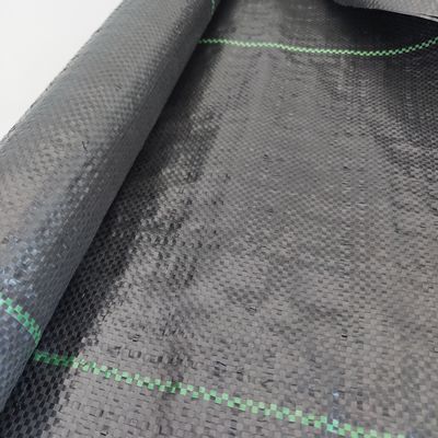 40gm-230gm Γεωργία Υφάσματα PP για την κάλυψη εδάφους για την καταπολέμηση των ζιζανίων στον κήπο φράουλας