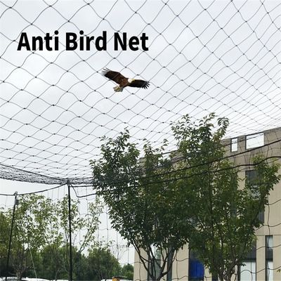 Πλαστικό πλέγμα 2 εκατοστά