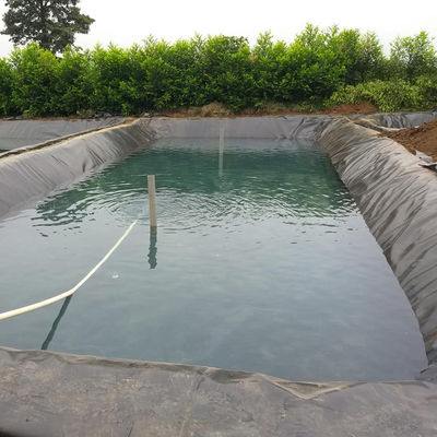 GB/ASTM GRI-GM13 Πρότυπο HDPE Geomembrane Liner για υδροσταθεροποιητικό υλικό αλιευτικής καλλιέργειας