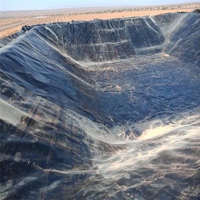 Κινέζικος σχεδιασμός στυλ λίμνη νερού πλαστικό πολυαιθυλένιο Geomembrane Liner για λίμνη ψαριών