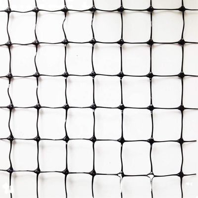 1.5cm Mesh 27gsm PP Anti Bird Net για σταφύλια ή φρουτοδέντρα