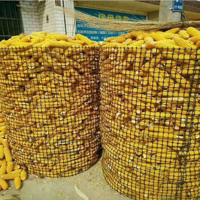 Πλαστικό PP Biaxial Geogrid 3030 Κινέζικος σχεδιασμός για κατασκευές Πολιτικού Μηχανικού