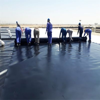 30mil HDPE πλαστική λίμνη λίμνη Γεωμεμβράνη Ελαστικός υδροστερόμεμβράνη για λίμνη ψαριών Πολυδιάστατη