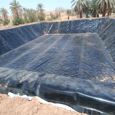 30mil HDPE πλαστική λίμνη λίμνη Γεωμεμβράνη Ελαστικός υδροστερόμεμβράνη για λίμνη ψαριών Πολυδιάστατη