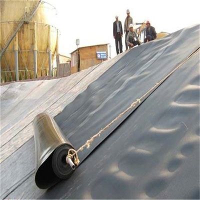 Προσαρμοσμένο 1 mm Geomembrane Liner για Biodigester χωματερή και ψάρι ή γαρίδες λίμνη