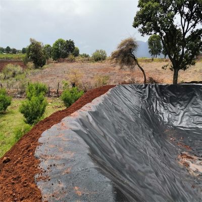 Κινέζικος σχεδιασμός HDPE γεωμεμβράνη για υδατοκαλλιέργεια