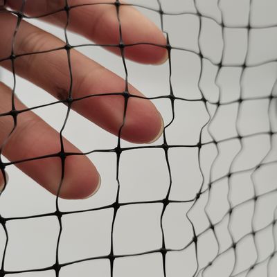 Προσαρμοσμένο χρώμα UV-επεξεργασμένο PP Anti Bird Δίκτυο για την εκτροφή κοτόπουλων και κήπο λίμνη ψαριών