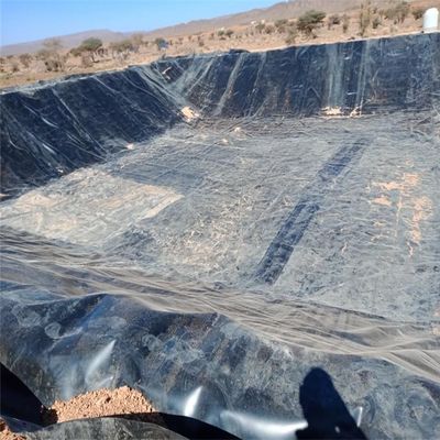 HDPE LDPE LLDPE PVC Geomembrane Liner λίμνη για ψάρια γαρίδες δεξαμενή στην Ινδονησία
