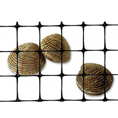 40-40kn PP Biaxial Plastic Geogrid για την κατασκευή δρόμων και την ενίσχυση των θεμελιωδών βάσεων