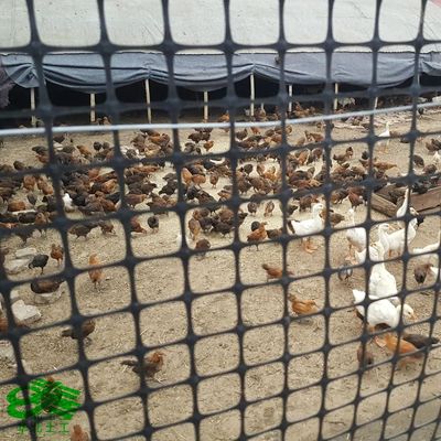 30kn/M Μαύρο διάξιο πλαστικό γεωγραμμάτιο για οδό μέλιτος πιστοποιημένο CE/ISO9001