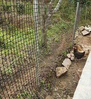 PP 3030KN Δυάξιο Γεωγραμμάτιο για την προστασία από τις πλαγιές της οδικής κατασκευής 12.7*12.7mm Μέγεθος πλέγματος