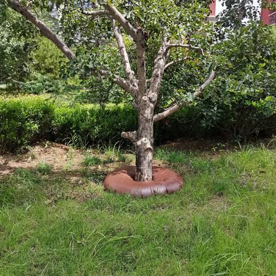 Αποχαιρετήστε το πότισμα των χεριών με το 15/20 γαλόνια αργή απελευθέρωση PVC πότιση τσάντα δαχτυλίδι