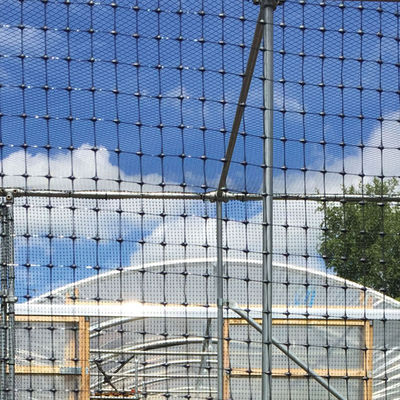 PP Biaxial Geogrid 40kn για την ενίσχυση οδών Elite Sale Black Εκπαίδευση οδικών Geo Grids