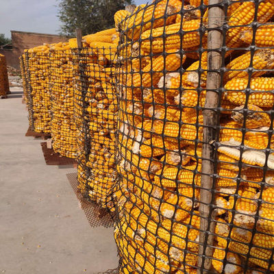 PP Biaxial Geogrid 40kn για την ενίσχυση οδών Elite Sale Black Εκπαίδευση οδικών Geo Grids