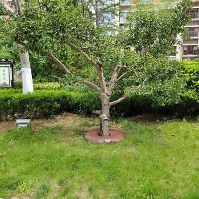 15 γαλόνια PVC τσάντα πότισης δέντρων φορητό και ανθεκτικό για αργή απελευθέρωση σταγόνα άρδευση