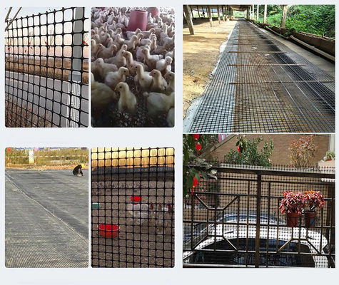 Οδική κατασκευή Essential 50kn/M PP Biaxial Geogrid με πιστοποίηση CE/ISO9001
