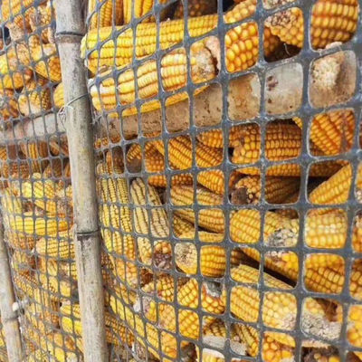 50-100m πλαστικό PP Bi-Axial Geogrid Ιδανικό για την Πολιτική Μηχανική