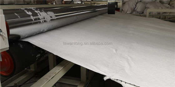 Μαύρο Wantong σύνθετο PP Biaxial Geogrid για την οδική κατασκευή