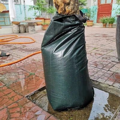 Υψηλή σκληρότητα της επιφάνειας 20 γαλόνια δέντρα υδροδότησης σακούλα σταγόνα άρδευση για τα νεοφύτερα